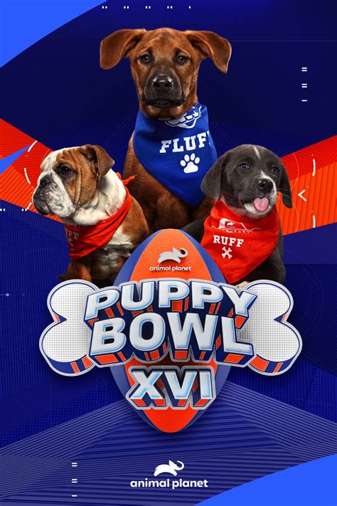 puppy bowl xvi winner